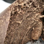 kakao-java-nusantara-4 (1)